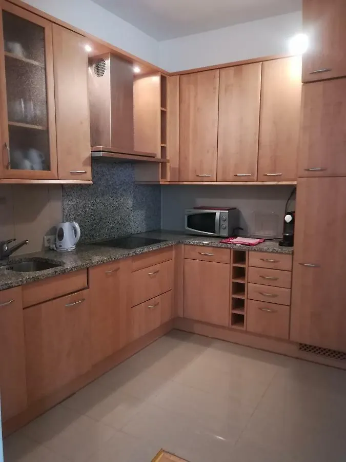 Wien Zentrum Seilerstatte Apartamento Viena